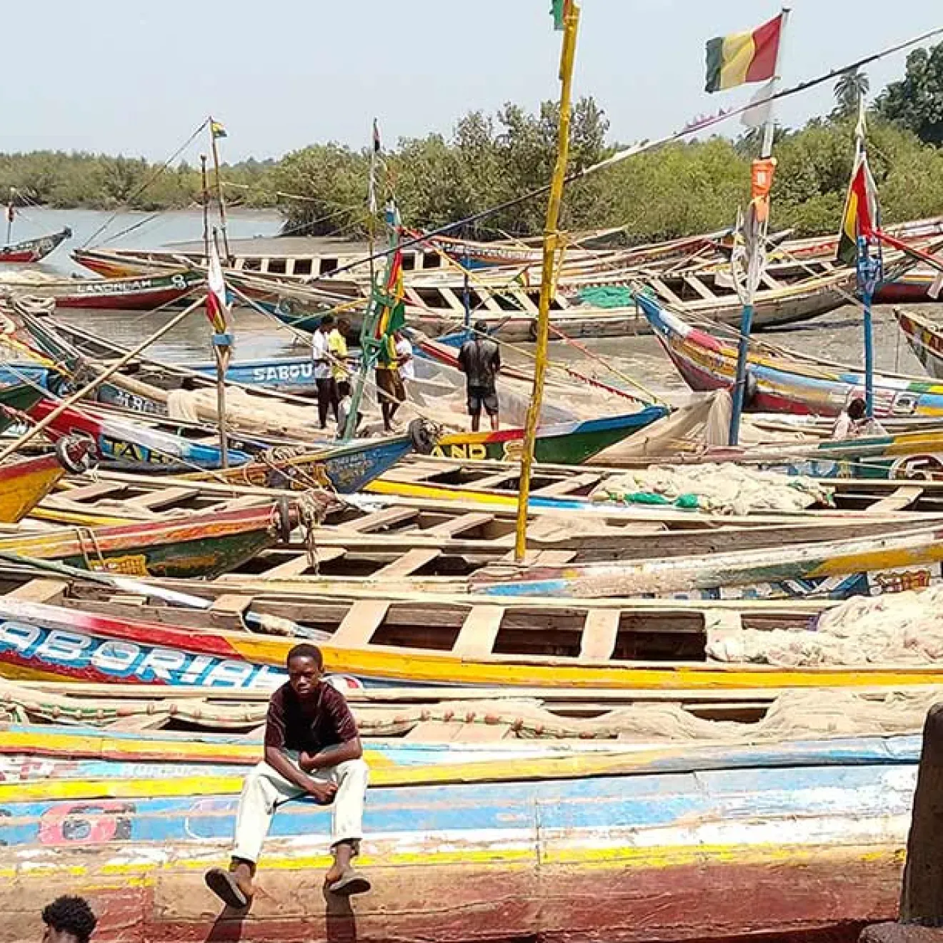 Ile de Kito - Guinée